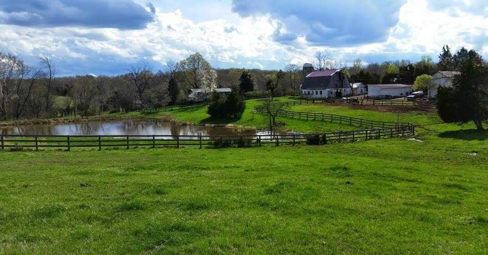 C'est Chevaux barn and grounds, Leesburg VA
